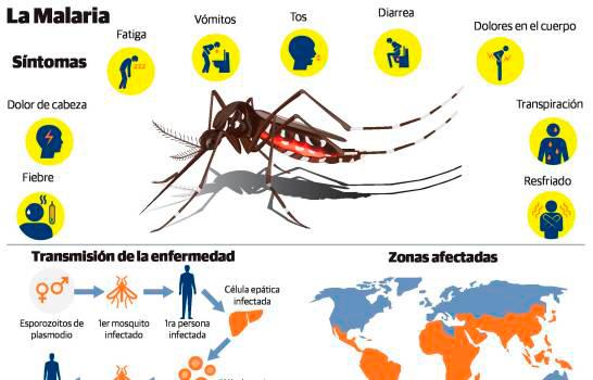 Ilustración sobre los síntomas de la malaria.