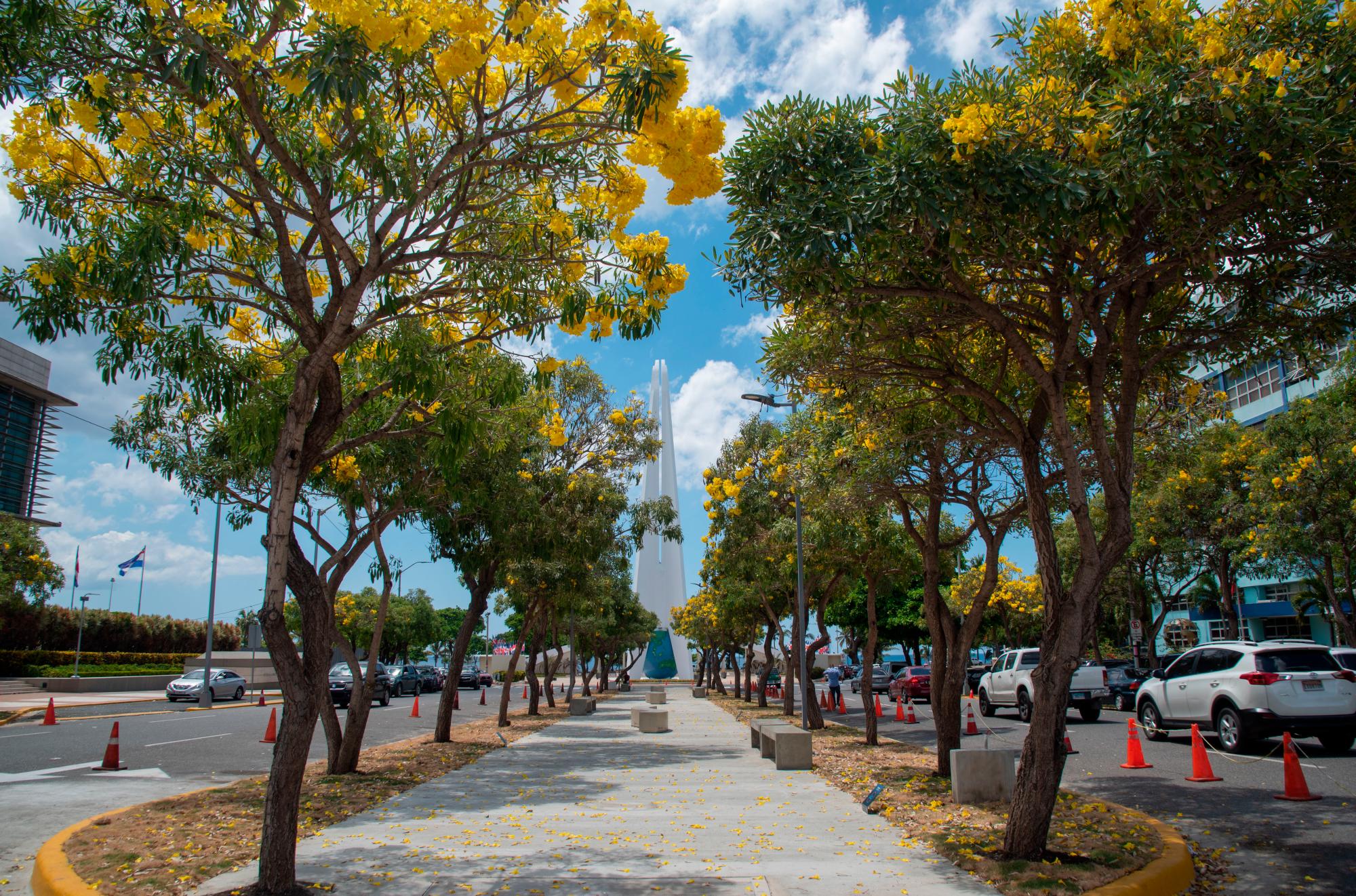 Paseo del Roble Amarillo, avenida Jiménez Moya.