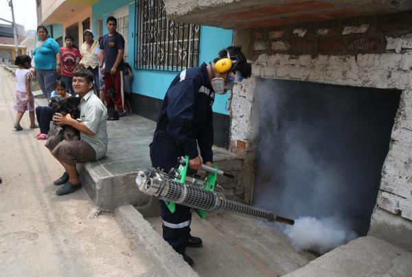 Preguntas y respuestas del virus del zika en América Latina 