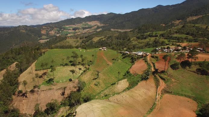 Imagen muestra parte del área deforestada de Valle Nuevo. 
