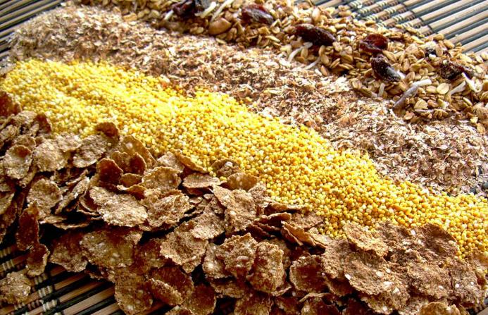 Estudios reportan que tras el consumo de los cereales integrales se reportan mejoras apreciables en los niveles de colesterol, estreñimiento y protección antioxidante.