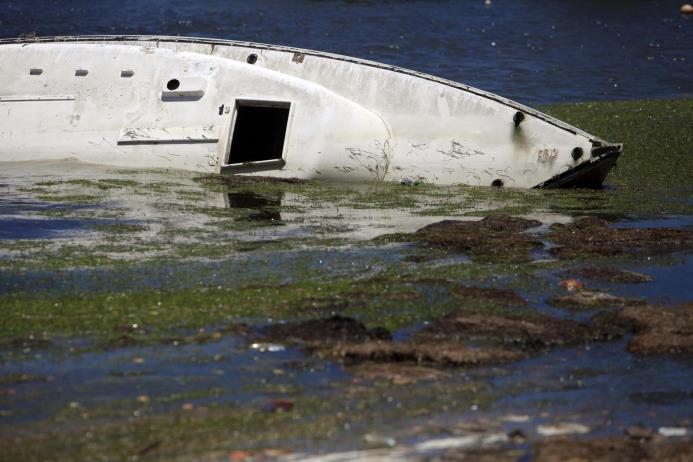 PUERTO RICO. Un bote abandonado aparece semisumergido en una costa cubierta de algas frente a Fajardo. Los cúmulos de las algas conocidas como sargazos se han venido depositando en las costas del Caribe desde tiempo inmemorial, pero los investigadores advierten que ha aumentado su número y frecuencia en los últimos años.
