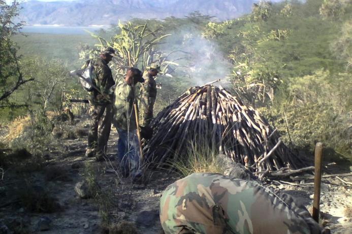 Horno destruido por el Ministerio de Medio Ambiente en Bahoruco , Jimaní y Dajabón 