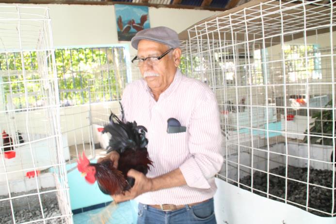 Barriola Ayala es un aficionado de los gallos de los 10 años.