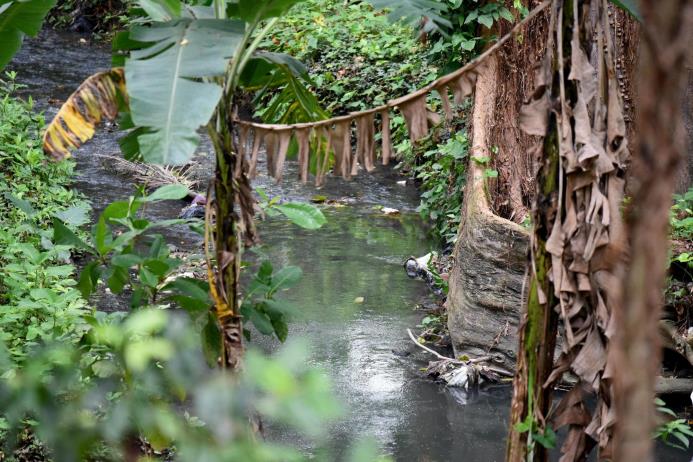 La condición del río que pasa por el zoológico de Moca 