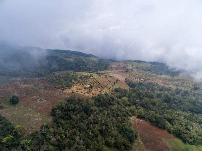 En esta foto de noviembre de 2015, se puede ver una plantación de aguacate dentro del Parque Nacional Sierra de Bahoruco en la ladera sur.