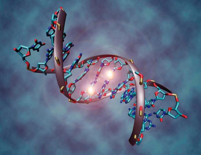 La investigación identificó 7,5 millones de mutaciones genéticas en la población de estudio. 