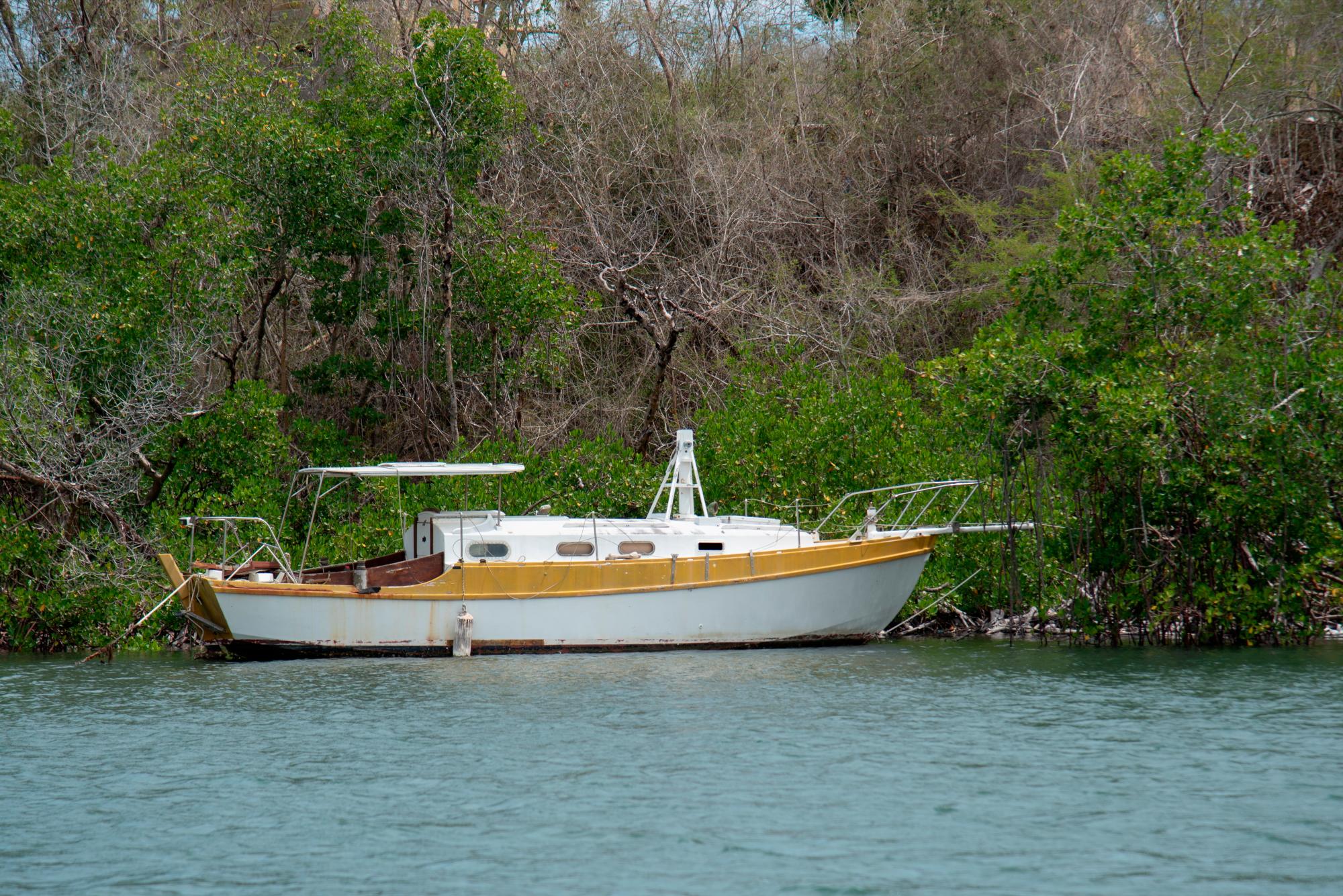 Una embarcación permanece amarrada a los manglares dentro del área protegida lo que puede significar un daño al ecosistema.