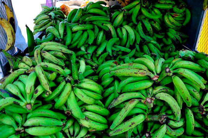 $!Dominicanos consumen más de ocho millones de plátanos diariamente