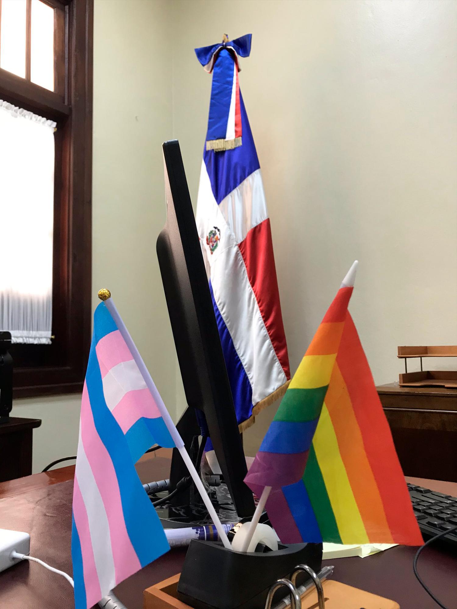 $!Viceministra que promueve la inclusión gay dice eso está contemplado en programa de Gobierno de Abinader