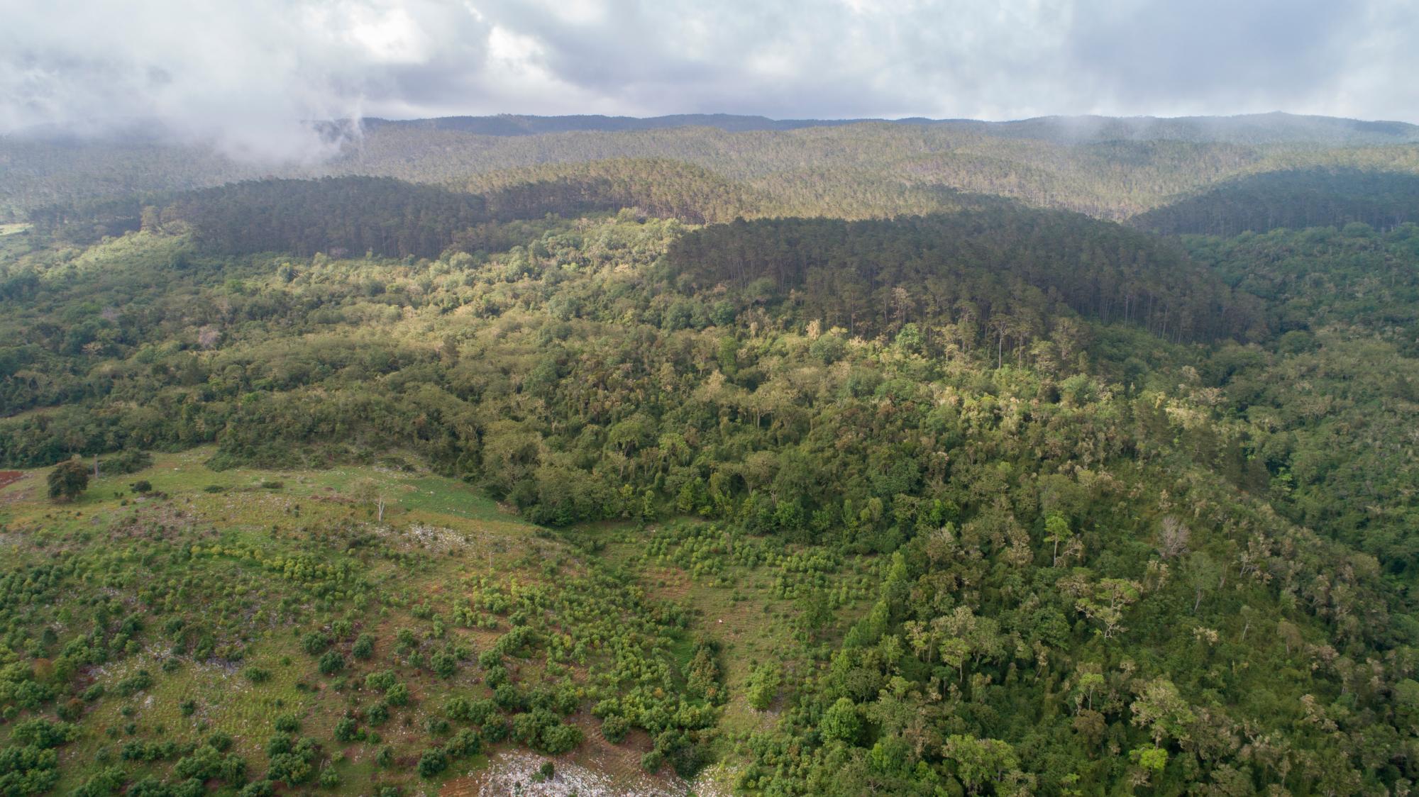 Sierra de Bahoruco: una larga lucha entre conservación y agricultura