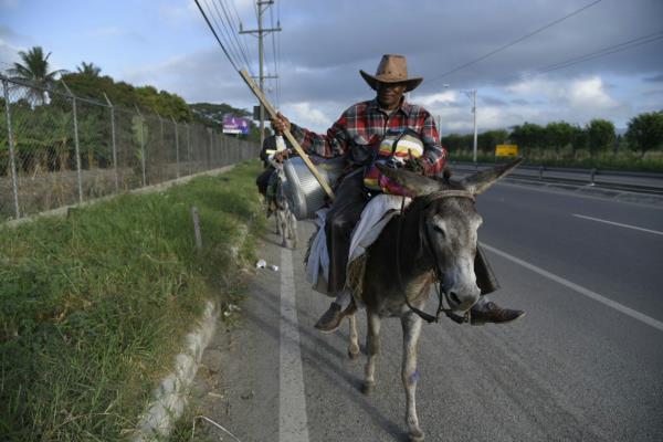 Peregrinos irán en burro desde Puerto Plata hasta el Palacio Nacional
