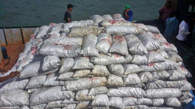 Incautan cargamento de 500 sacos de carbón vegetal en muelle de Samaná