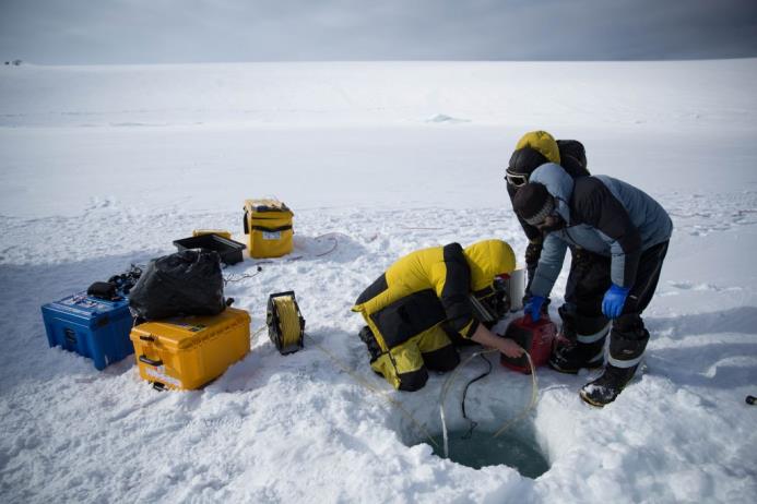 Los científicos perforaron agujeros en el hielo marino para bajar un vehículo operado remotamente en el agua.