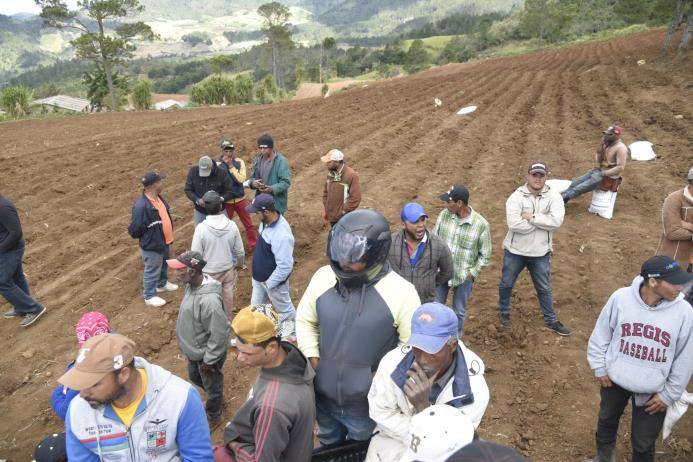 Agricultores de Valle Nuevo en sus predios. 
