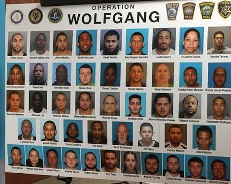 NUEVA YORK. Integrantes de la presunta banda de 24 dominicanos, entre ellos tres mujeres que cayeron en la “Operación Pandilla de Lobos”.