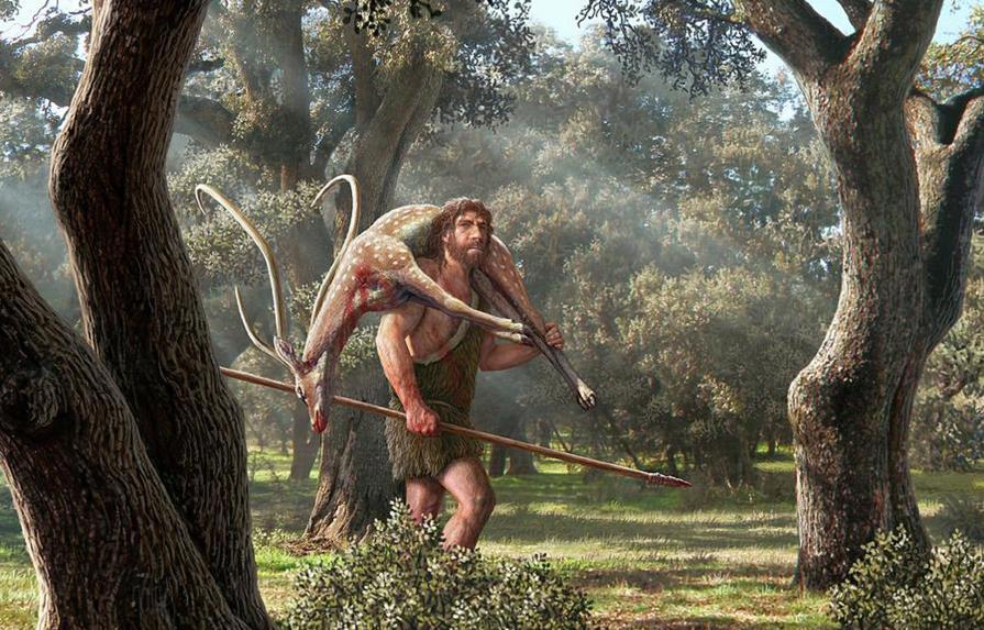 Los neandertales cooperaban para cazar con lanzas a cortas distancias