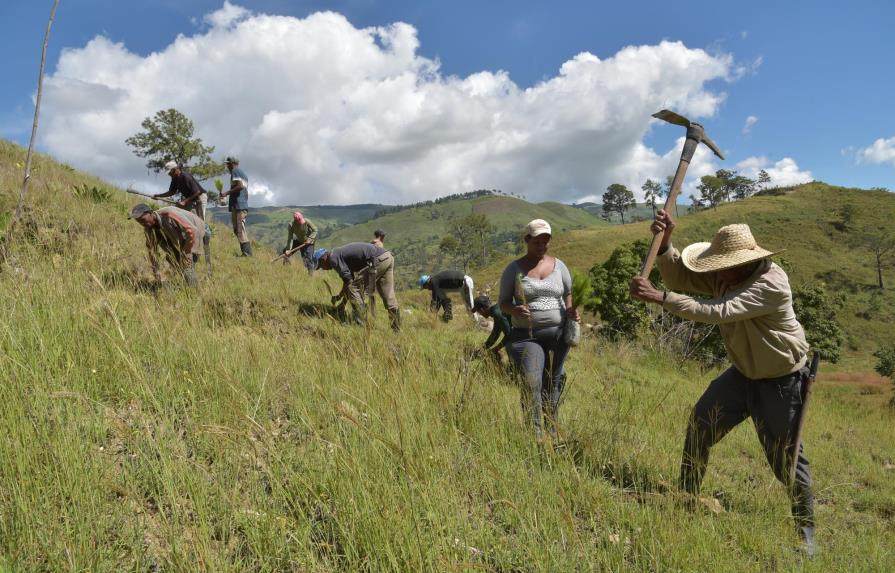 Proyecto de la ONU busca reforestar áreas de República Dominicana y de Centroamérica 