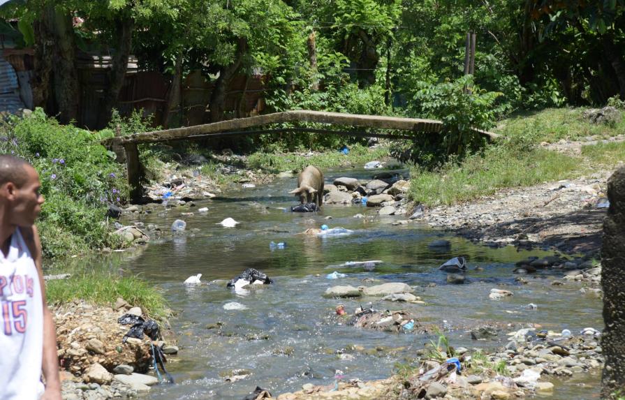 Pocilgas y residuos de Villa Altagracia contaminan las aguas del río Haina