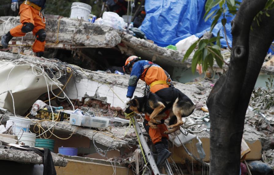 Suman 293 los fallecidos por sismo en México 