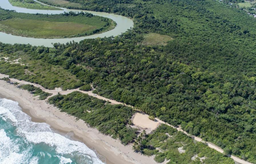 Medio Ambiente autorizó proyecto inmobiliario entre manglar y dunas en Cabarete