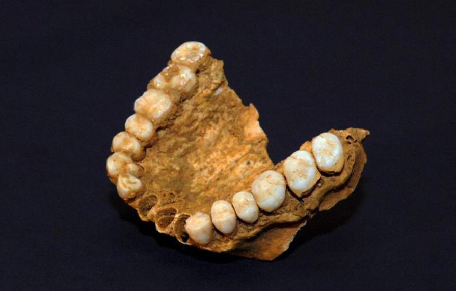 Nuevo hallazgo permite identificar neandertales gracias a dientes digeridos