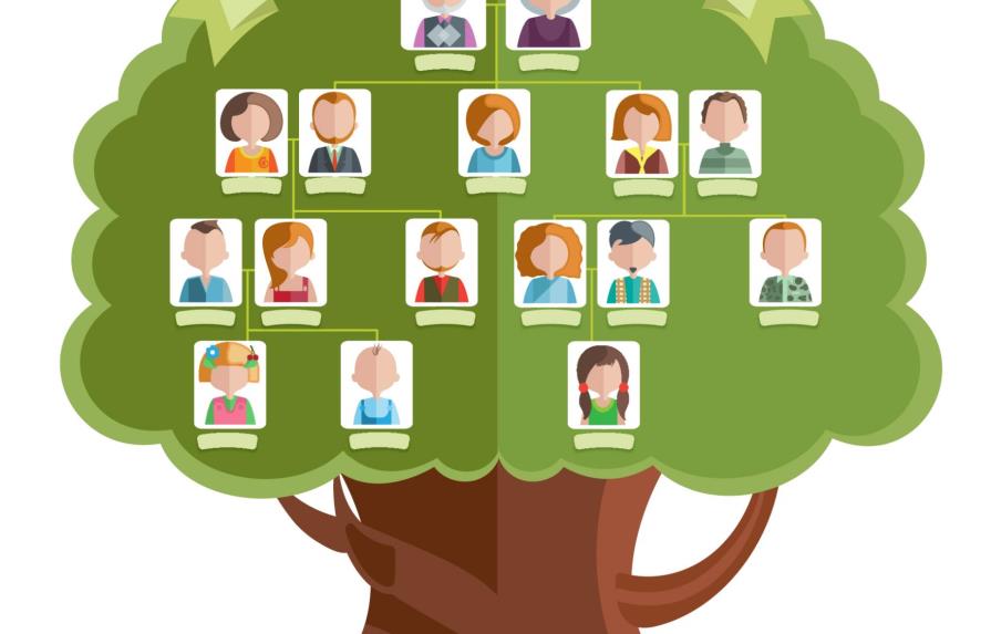 Elaboran un árbol genealógico que conecta 13 millones de personas 