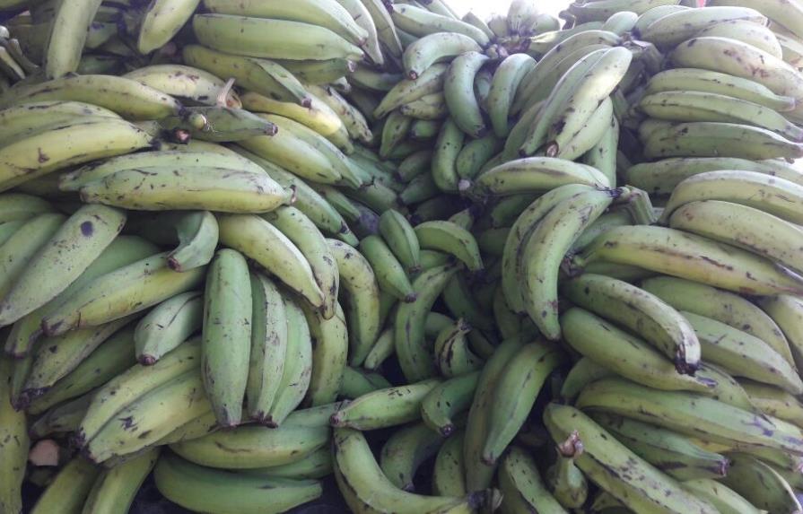 Plátanos se venden hasta un 200% más que el costo en finca 