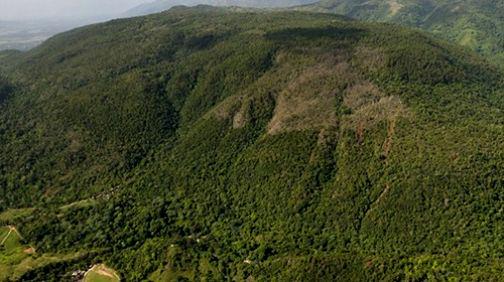 Sociedad Ecológica del Cibao exige declaren Loma Miranda parque nacional