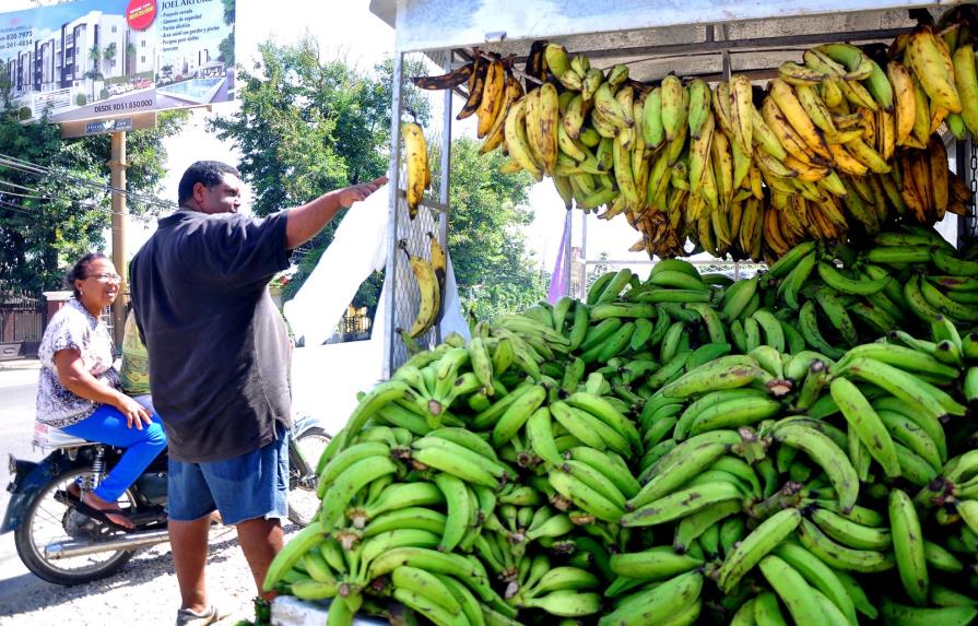 Productores atribuyen altos precios del plátano a la cadena de comercialización 