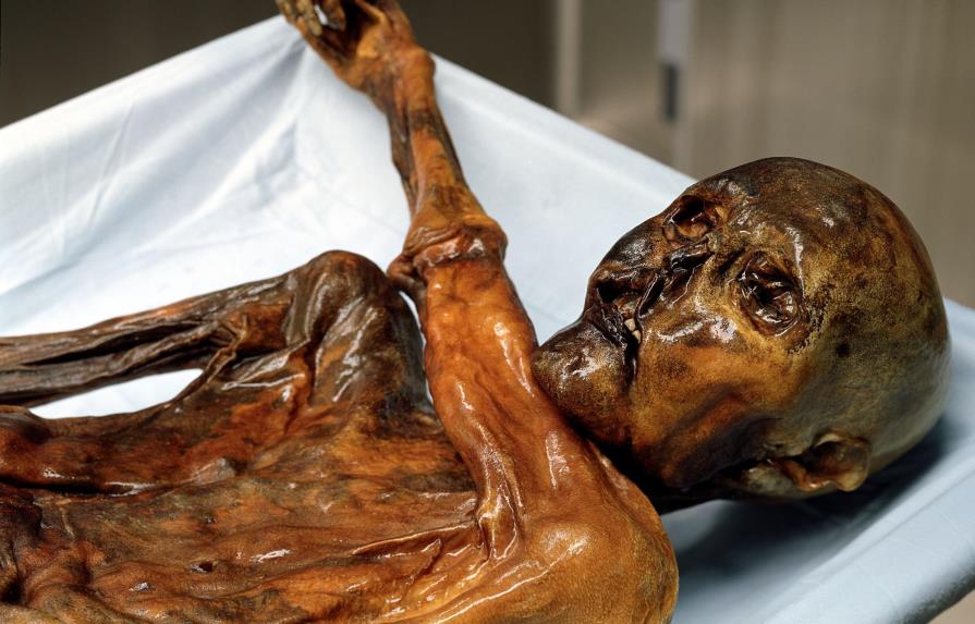 Hallazgo de una bacteria estomacal en la momia Ötzi replantea el Neolítico
