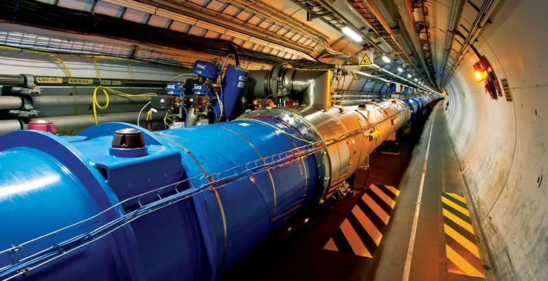 El Gran Colisionador de Hadrones ha sido saboteado por una comadreja