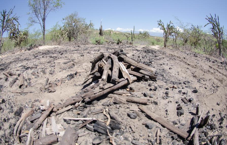 Los cinco problemas que más amenazan al medio ambiente en la República Dominicana