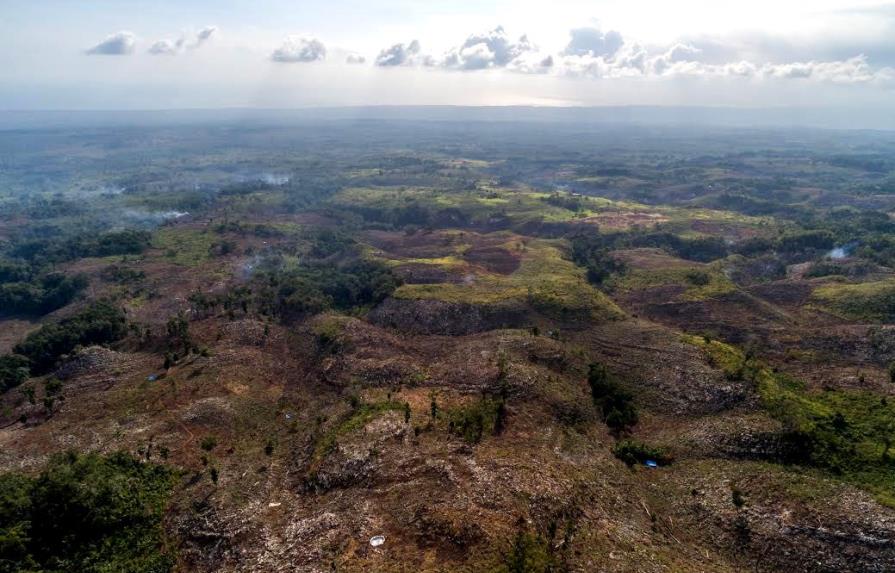 Secretaría ambiental CAFTA-DR pedirá respuesta sobre deforestación en Sierra de Bahoruco