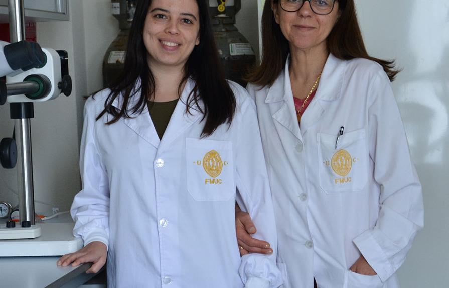 Una universidad de Portugal crea un páncreas bioartificial para tratar la diabetes