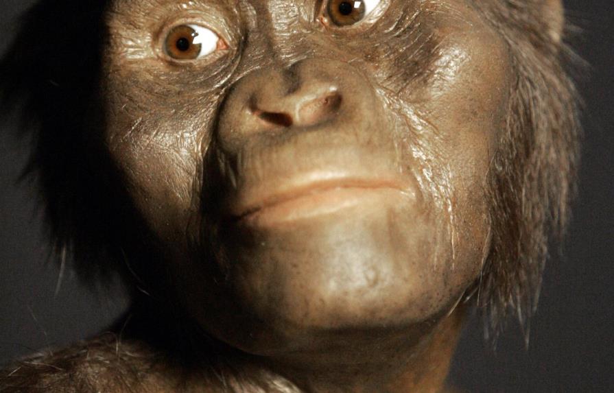 Lucy, el fósil más famoso, murió tras caerse de un árbol
