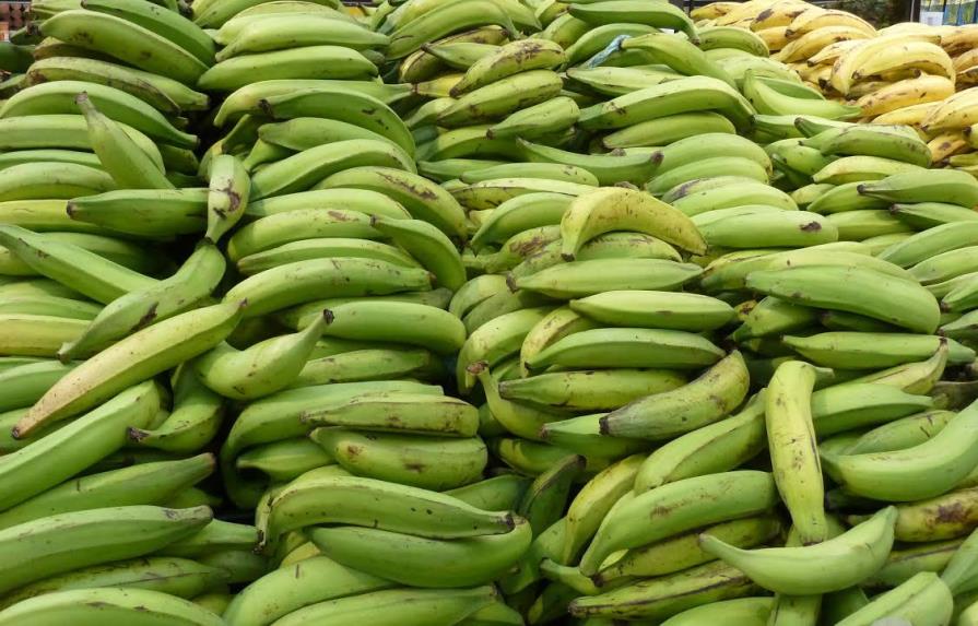 El Gobierno enviará 600,000 plátanos a Haití