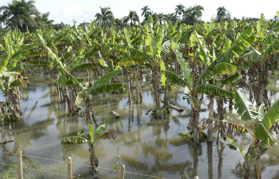 Inundaciones dejan pérdidas millonarias en República Dominicana 