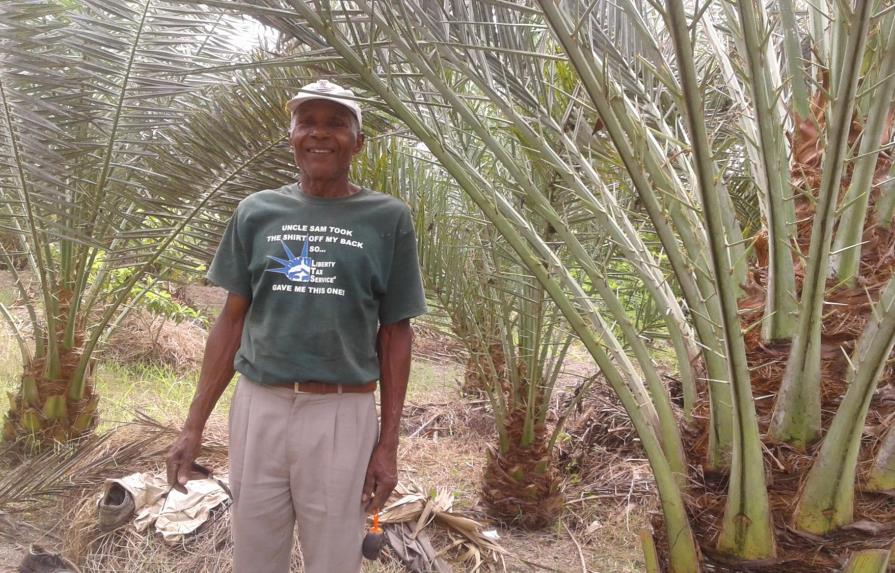 Agricultor pide al presidente que apoye cultivo de palmeras datileras en el sur 