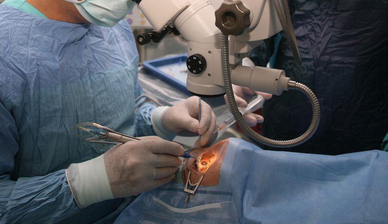 Médicos de EE.UU. llegan a Moca a practicar más de cien cirugías de cataratas