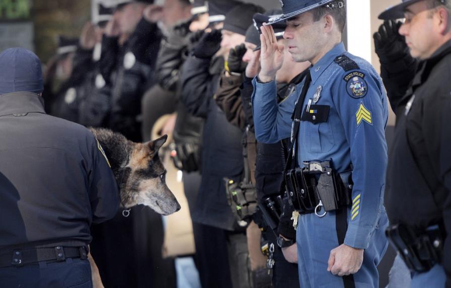 Agentes escoltan a ex perro policía para eutanasia